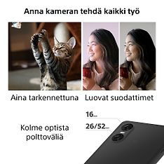 Kuva 8 / 11