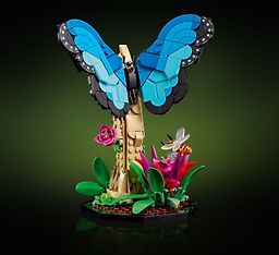 LEGO Ideas 21342 - Hyönteiskokoelma, kuva 5