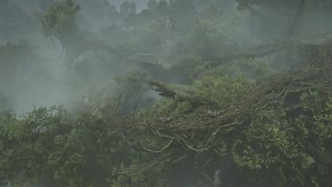 Kuva 7 / 7