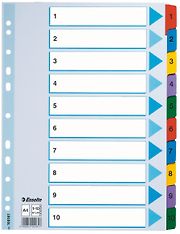 Esselte Mylar A4 -kartonkirekisteri, 1-10, 10 kpl