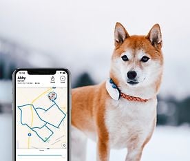 Tractive GPS Dog LTE – koiran GPS-paikannin, kuva 5