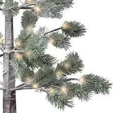 Enne Young Pine -valopuu ledvaloilla ulkokäyttöön, 150 cm, kuva 4