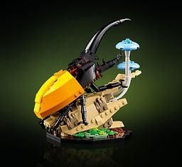 LEGO Ideas 21342 - Hyönteiskokoelma, kuva 6