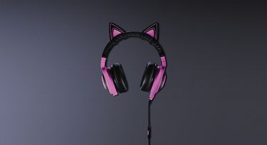 Kuva 2 / 2