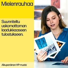 HP 300 -mustekasettipakkaus, musta ja kolmiväri, kuva 4