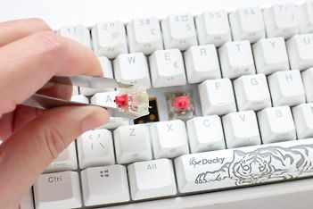 Ducky One 3 Mini 60% -mekaaninen näppäimistö Cherry MX Silent Red -kytkimillä, valkoinen, kuva 6