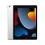 Apple iPad 256 Gt WiFi 2021 -tabletti, hopea (MK2P3)