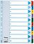 Esselte Mylar A4 -kartonkirekisteri, 1-10, 10 kpl